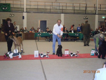 28-10-2012 Clubmatch KC Venray